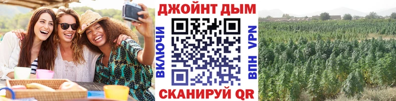 Купить закладки  Юрюзань  Канабис AK-47 